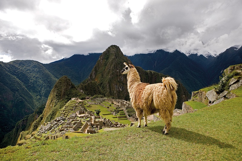 Bí ẩn Machu Picchu, thành phố đã mất của người Inca 5