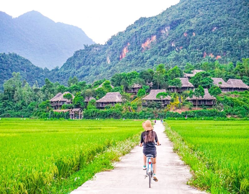Descubre Mai Chau en la temporada del arroz. - Travel Sense Asia - Agencia Vietnam - Foro Ofertas Comerciales de Viajes