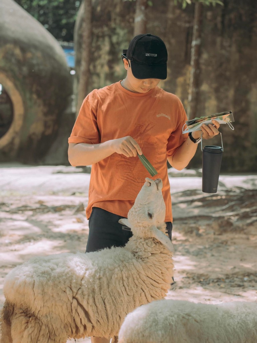 Một ngày tại Vinpearl Safari, vườn thú bán hoang dã trong lòng Đảo Ngọc 10