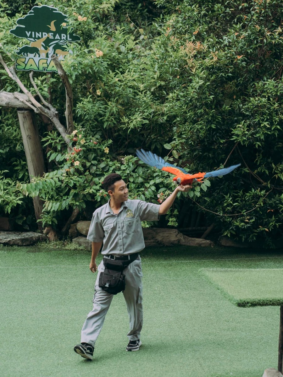Một ngày tại Vinpearl Safari, vườn thú bán hoang dã trong lòng Đảo Ngọc 5