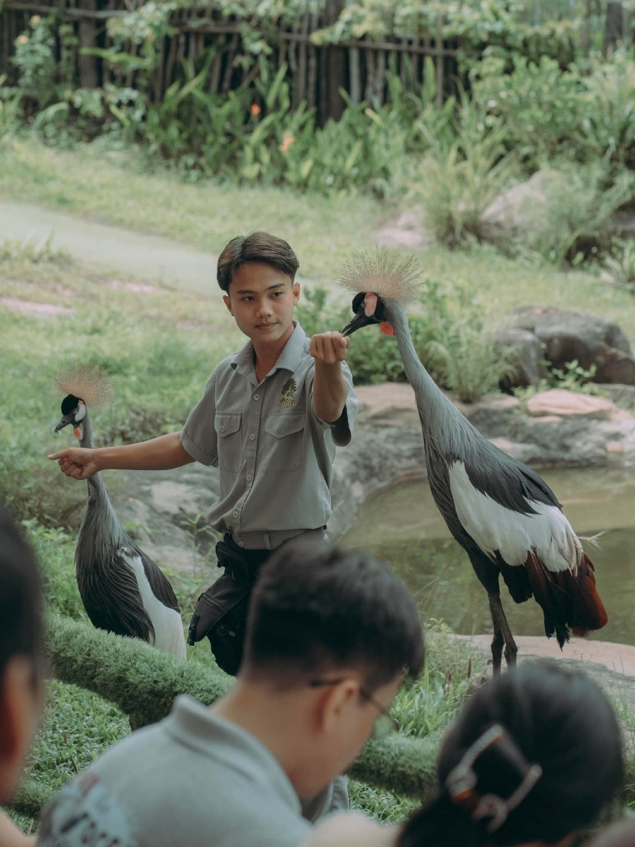 Một ngày tại Vinpearl Safari, vườn thú bán hoang dã trong lòng Đảo Ngọc 3