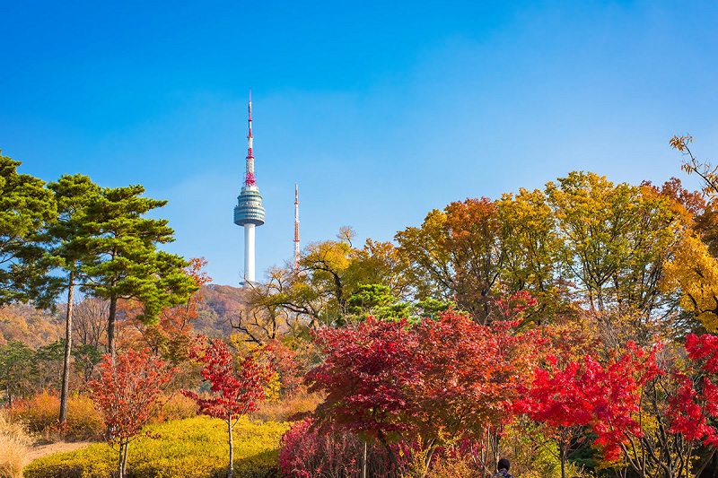 Ngất ngây mùa thu Hàn Quốc nhuộm màu lá đỏ rực rỡ 6