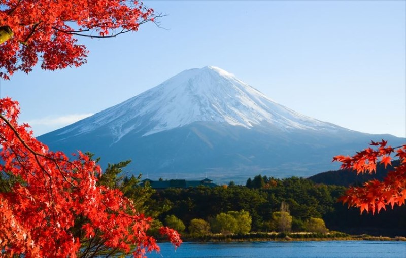 Mùa thu Nhật Bản, khúc hòa ca của cây cỏ và hương thơm đất trời 7
