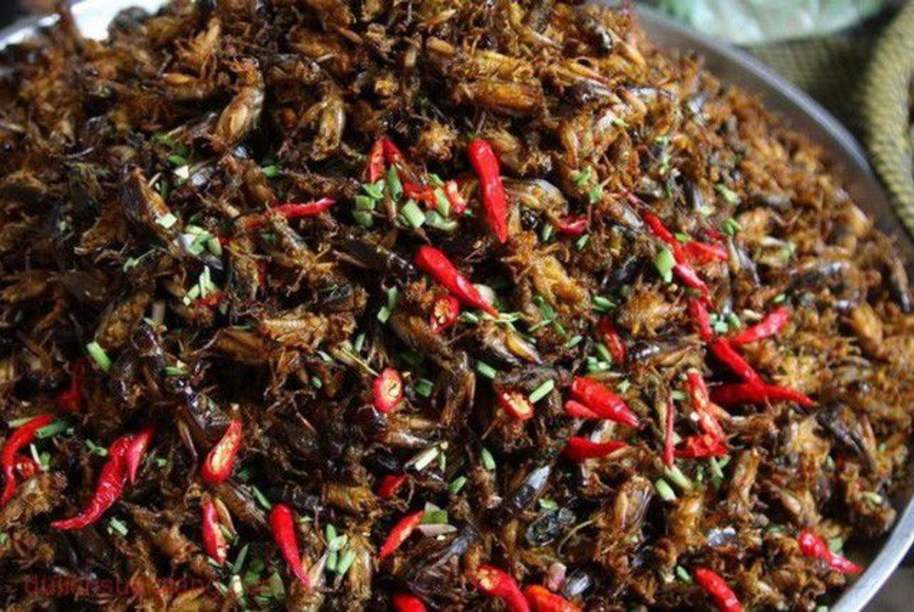 Muồm muỗm rang Mường Lò - Đặc sản trứ danh đất Yên Bái
