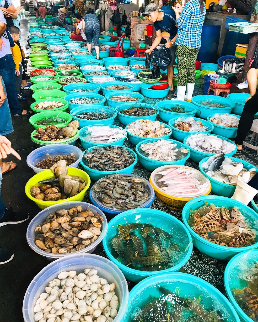 Nằm lòng top 5 chợ hải sản Vũng Tàu để chứng tỏ đẳng cấp tín đồ ẩm thực ngay và luôn nào!