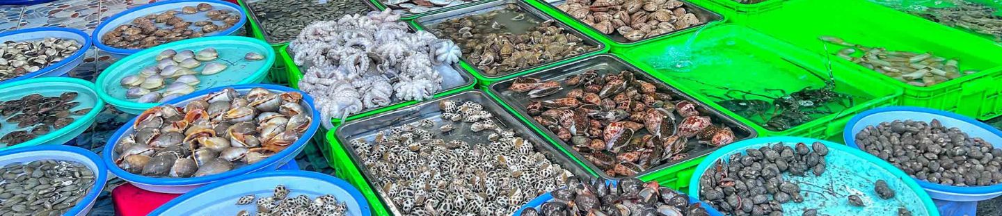 Chợ hải sản nào ở Vũng Tàu thu hút du khách nhiều nhất?
