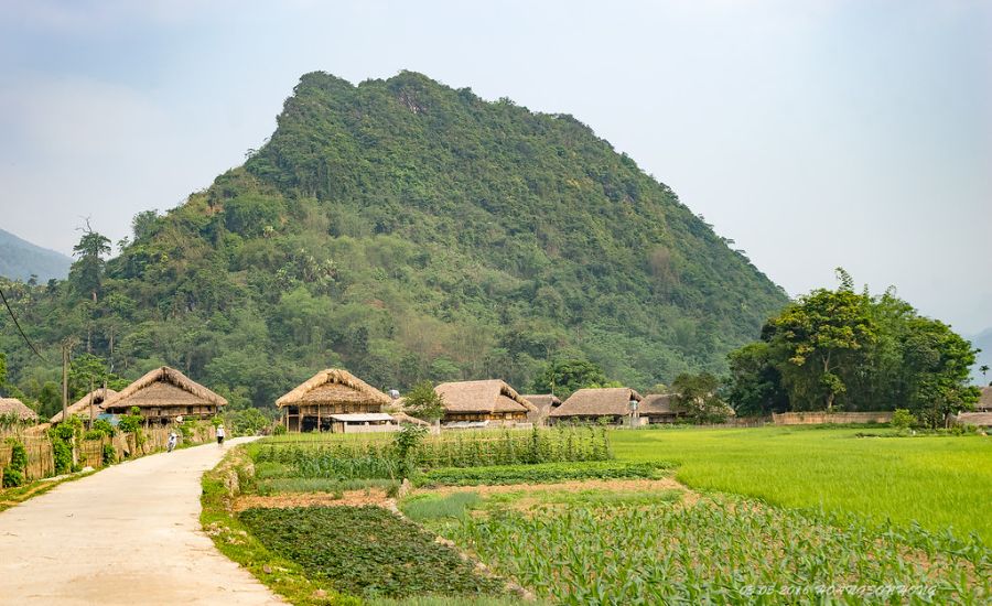 Nam Tran homestay Hà Giang, nơi đưa bạn đến với thiên nhiên hoang dã 2