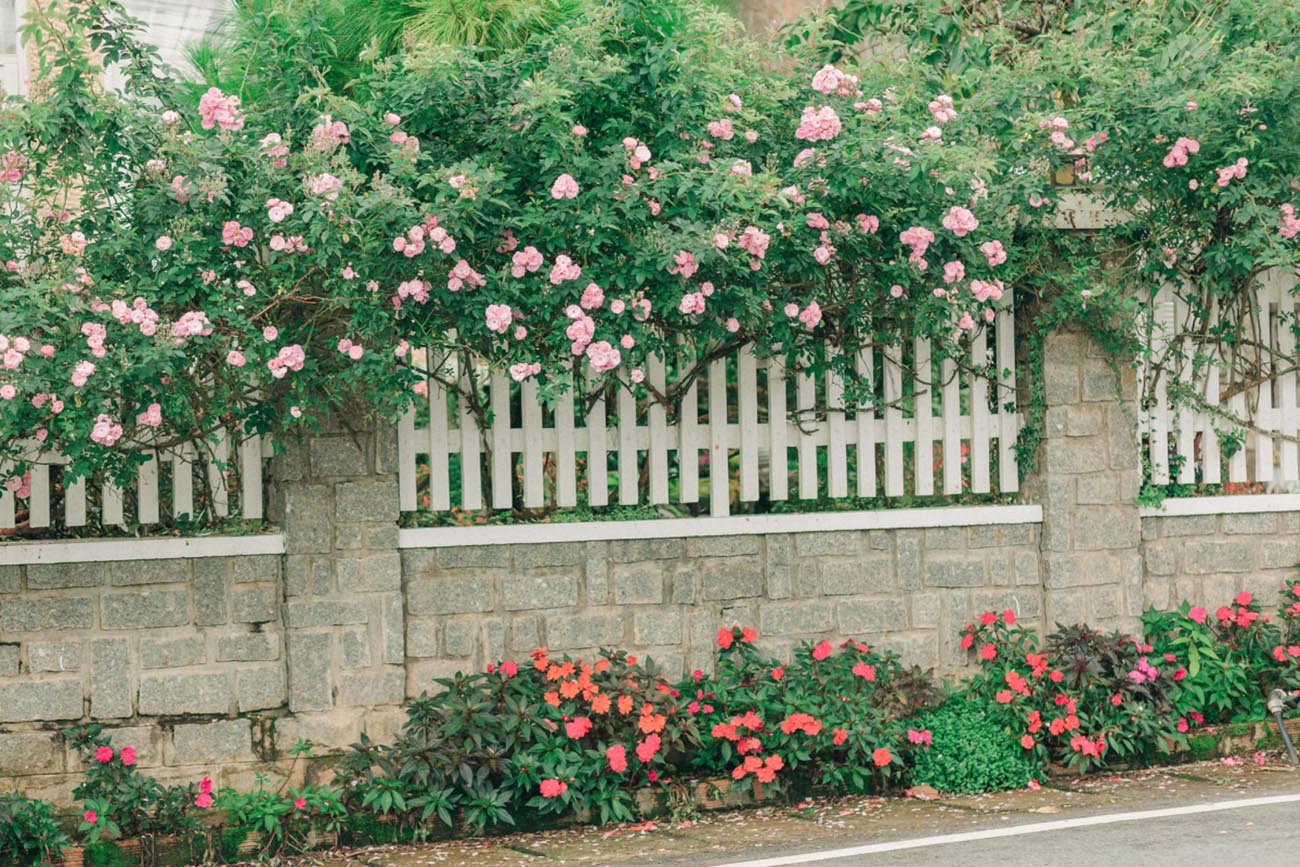 hàng rào treo hoa