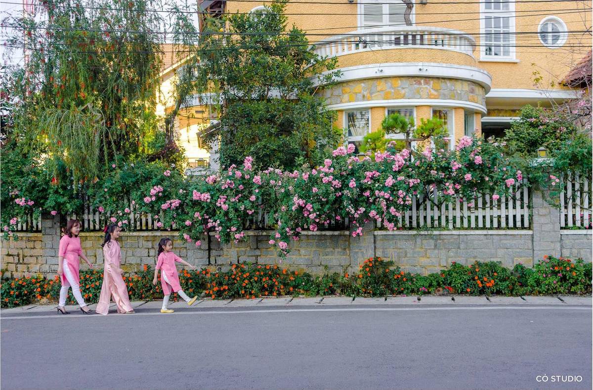 Ngẩn ngơ trước vẻ đẹp của hàng rào hoa hồng Đà Lạt - 'Nàng thơ' mới của thành phố mộng mơ