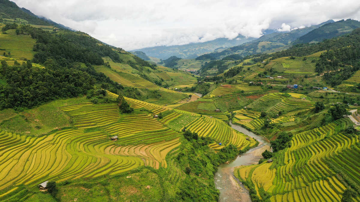 Ngất ngây trước kiệt tác ruộng bậc thang Mù Cang Chải - Di tích danh lam thắng cảnh đặc biệt của Việt Nam 3