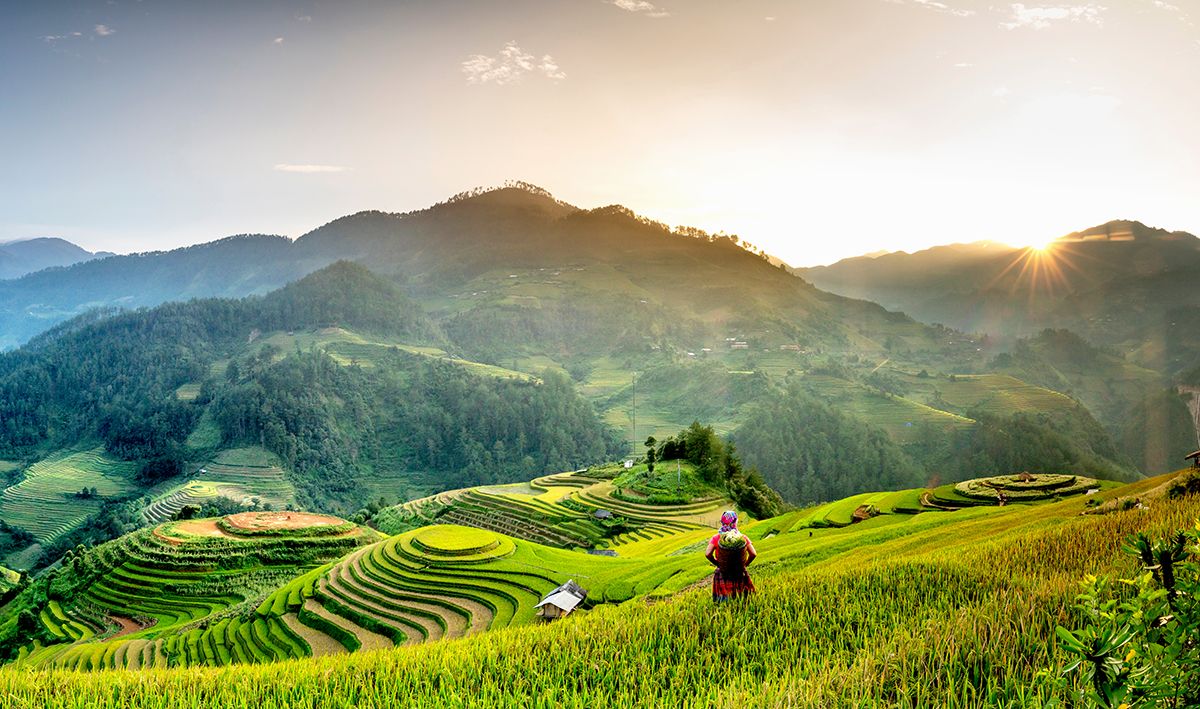 Ngất ngây trước kiệt tác ruộng bậc thang Mù Cang Chải - Di tích danh lam thắng cảnh đặc biệt của Việt Nam 5