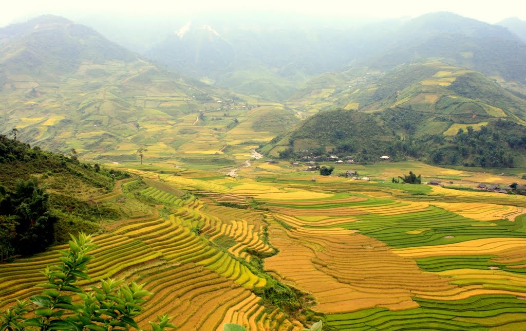 Ngất ngây trước kiệt tác ruộng bậc thang Mù Cang Chải - Di tích danh lam thắng cảnh đặc biệt của Việt Nam 6