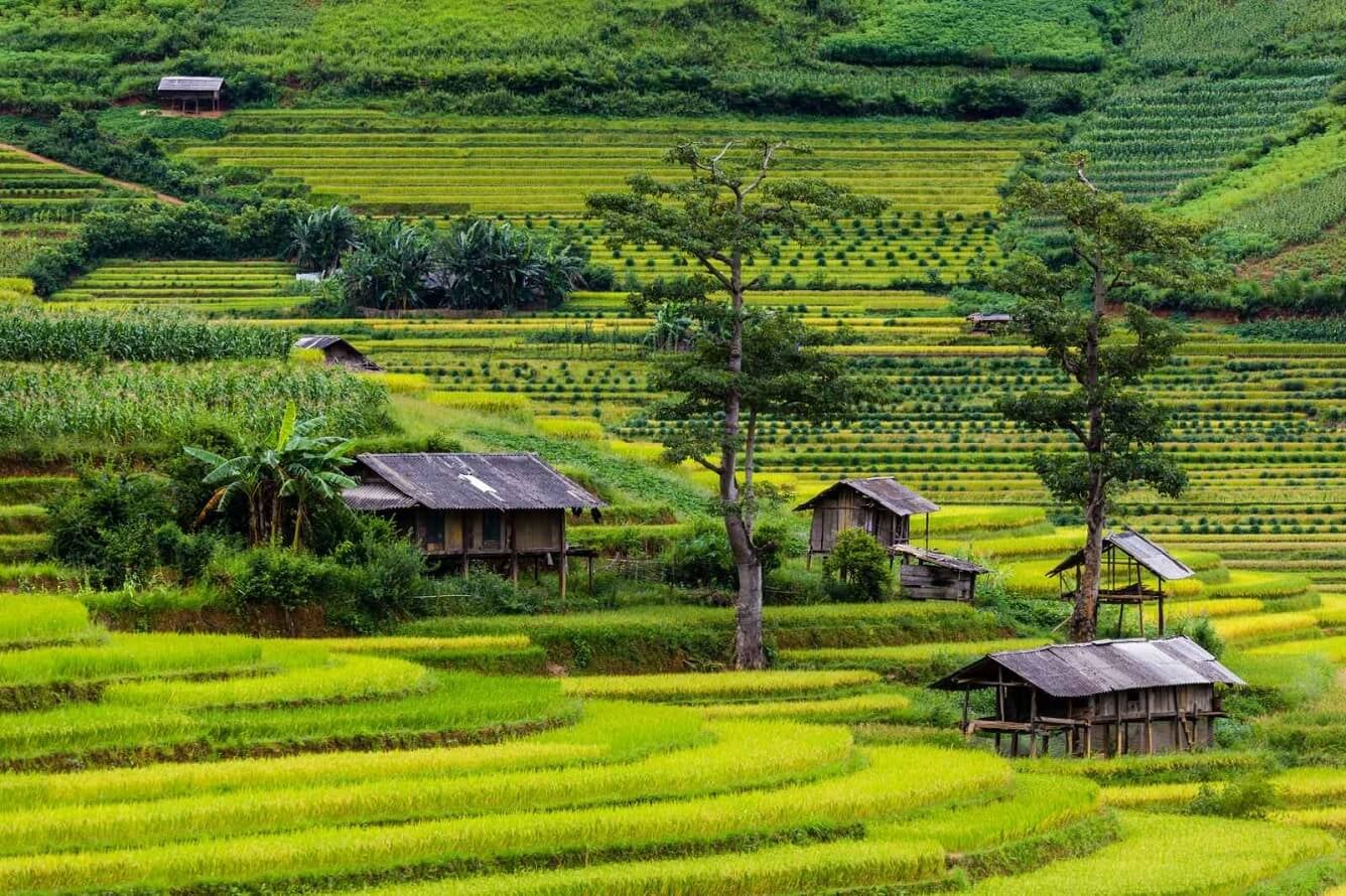 Ngất ngây trước kiệt tác ruộng bậc thang Mù Cang Chải - Di tích danh lam thắng cảnh đặc biệt của Việt Nam 7