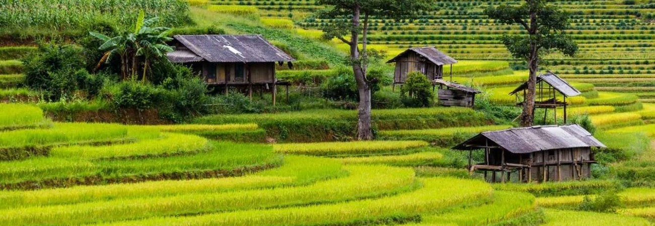 Ngất ngây trước kiệt tác ruộng bậc thang Mù Cang Chải - Di tích danh lam thắng cảnh đặc biệt của Việt Nam