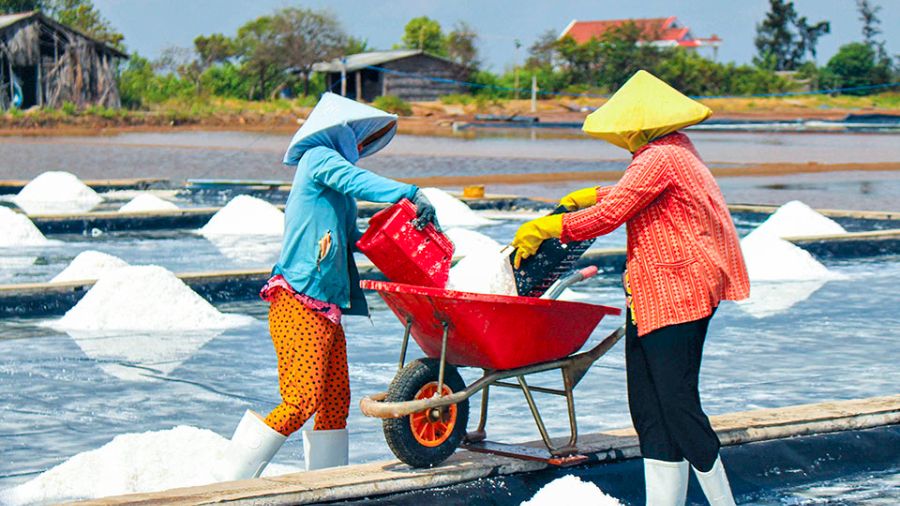 Nghề muối Tân Thuận mang tinh hoa biển khơi đến với đời sống thường nhật 3