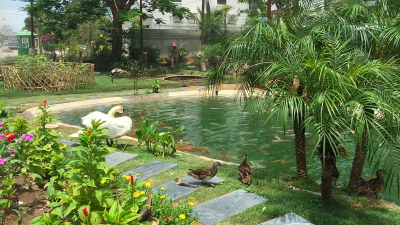 Nghỉ dưỡng tại FLC Sầm Sơn có gì chơi bạn đã biết hay chưa 7