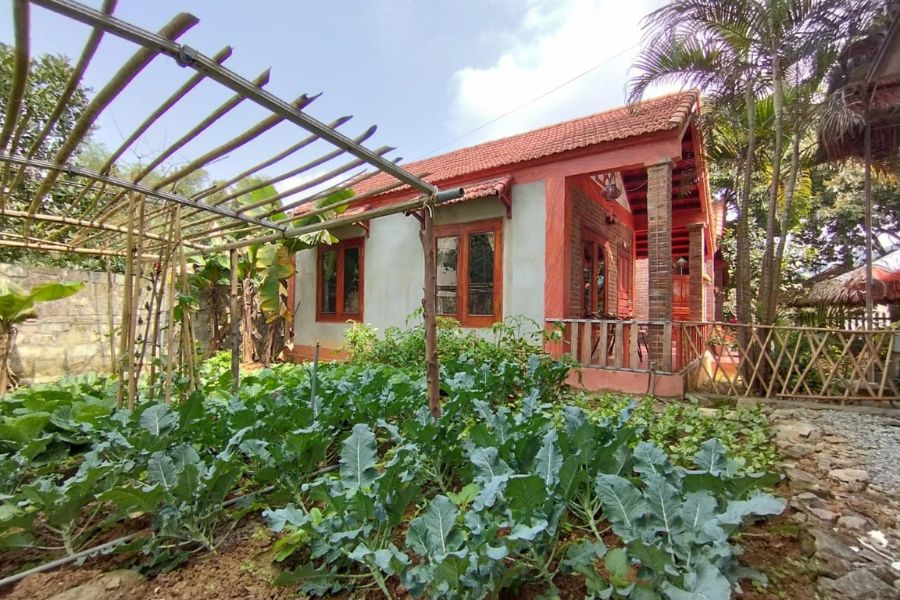 Ninh Binh Mountain View Homestay, nơi lánh xa làn khói phố thị 8