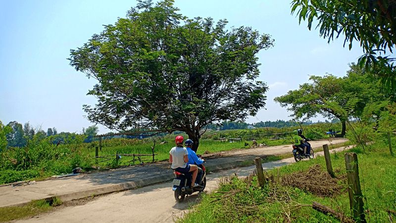 Nửa ngày là đủ để khám phá làng quê Hội An bằng xe máy 7
