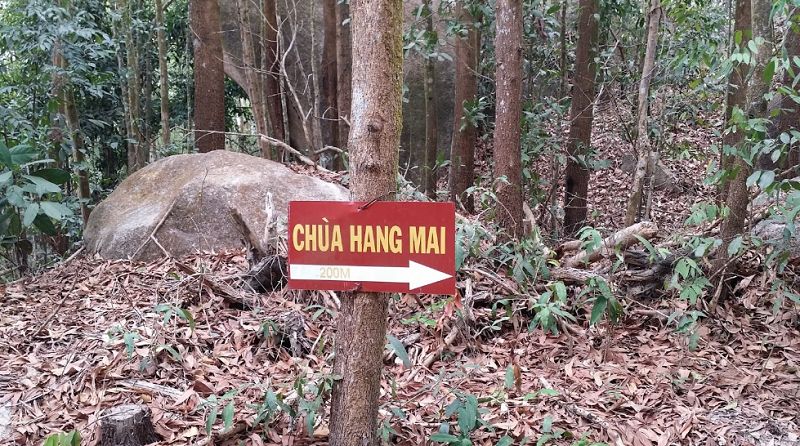 Núi Dinh Vũng Tàu: Điểm đến siêu ngầu cho lần đầu trekking 9