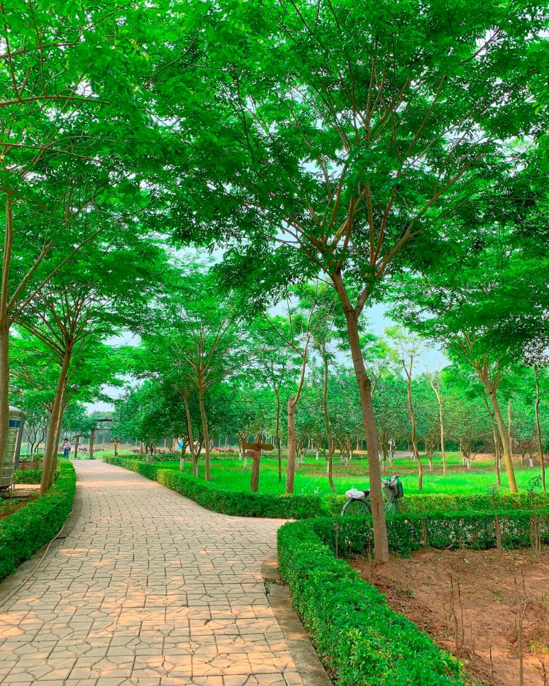 Có gì tại Phù Đổng Green Park, khu du lịch Hà Nội nổi tiếng 3