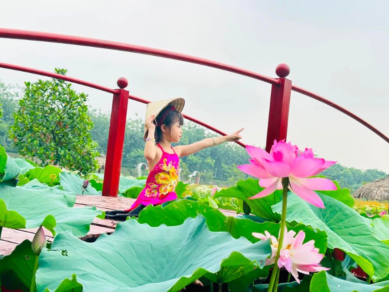 Có gì tại Phù Đổng Green Park, khu du lịch Hà Nội nổi tiếng 15