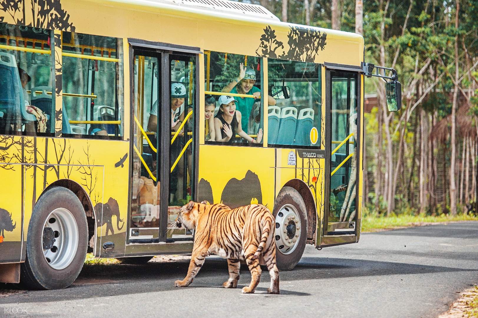 Exciting experience with semi-wild zoo design at Safari Phu Quoc