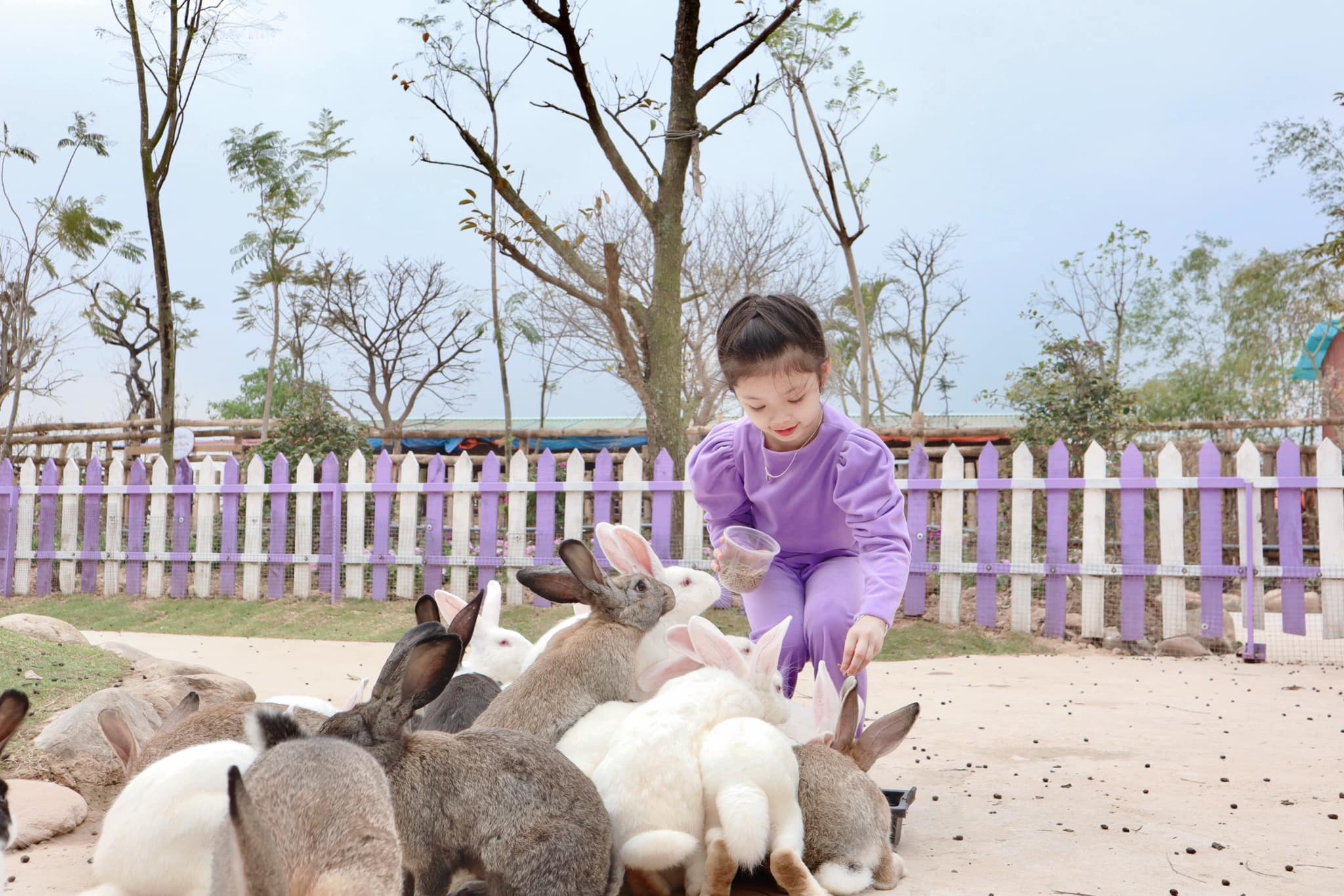 Phá đảo thiên đường vui chơi Quảng Ninh Gate từ A-Z 11