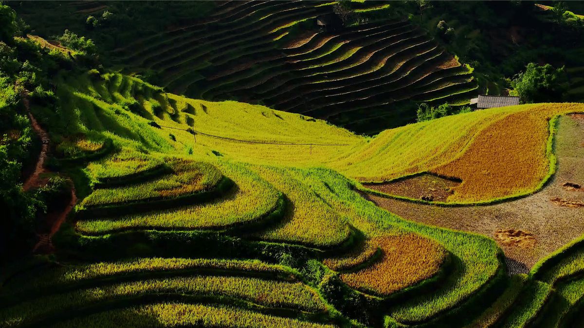 Review La Pán Tẩn - Xao xuyến ruộng bậc thang mùa vàng mê hoặc 3