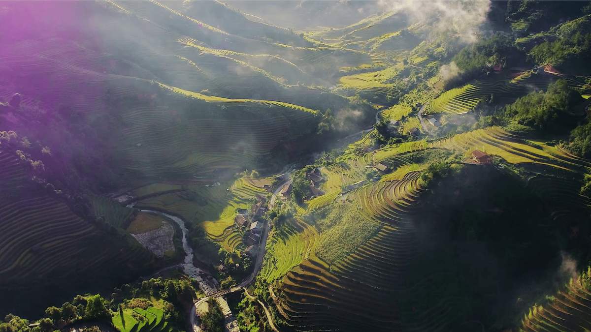 Review La Pán Tẩn - Xao xuyến ruộng bậc thang mùa vàng mê hoặc 8