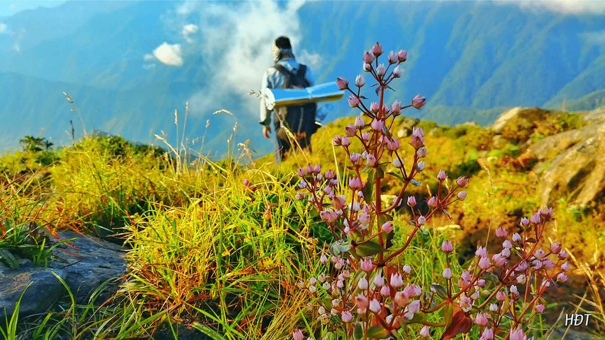 Review Tà Chì Nhù - Ghé ngắm rừng hoa Chi Pâu tím màu thương nhớ 3
