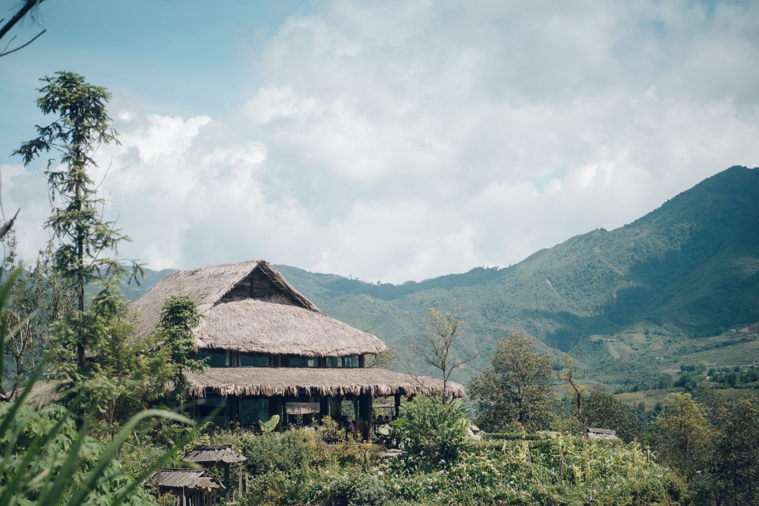 Alt value for image 84