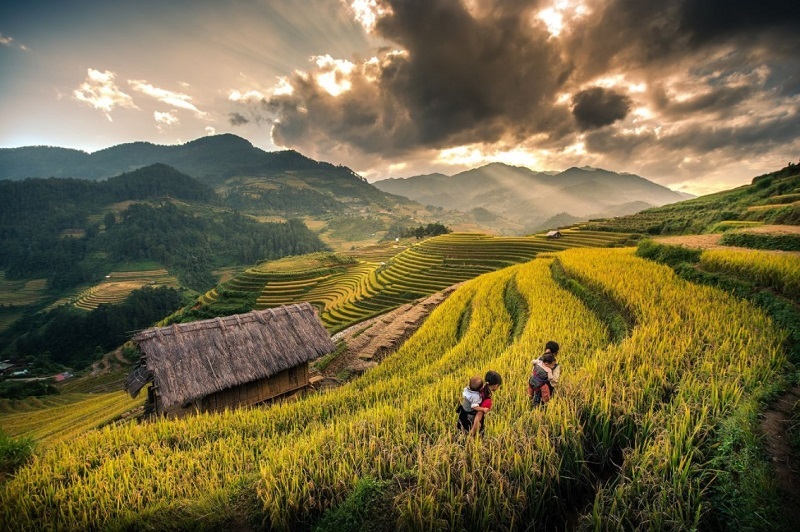 Kiệt tác ruộng bậc thang Sapa giữa miền núi cao Tây Bắc 7