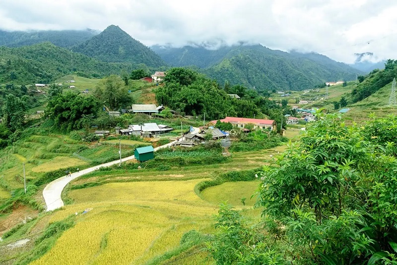 Kiệt tác ruộng bậc thang Sapa giữa miền núi cao Tây Bắc 8
