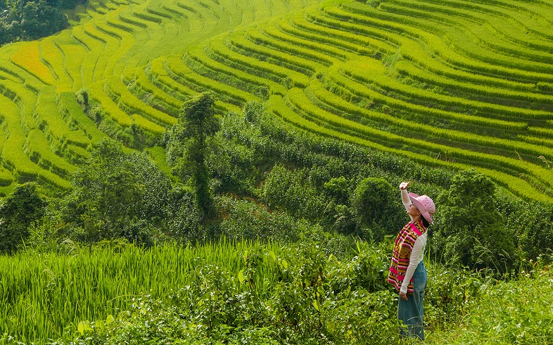 Kiệt tác ruộng bậc thang Sapa giữa miền núi cao Tây Bắc 9