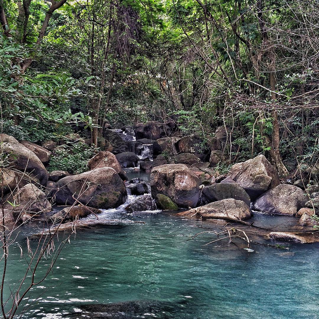 Safari núi Dinh Vũng Tàu: Nơi được mệnh danh là Đà Lạt trên đất 11