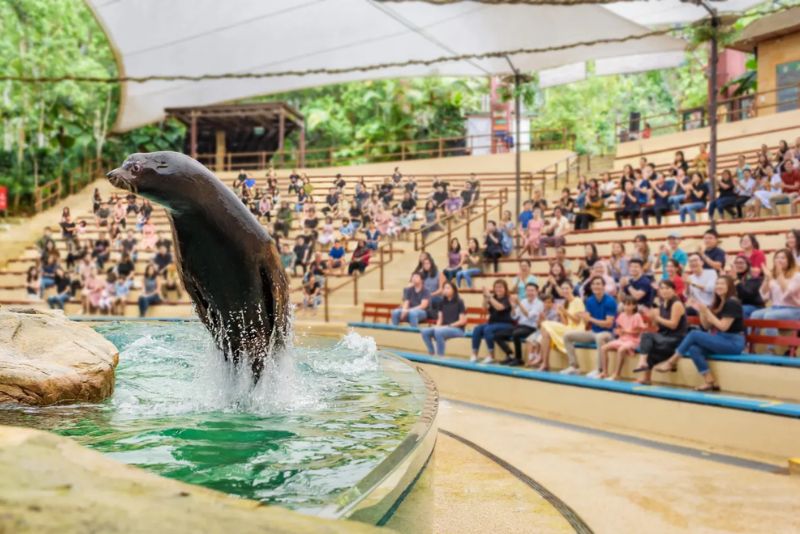 Đến Singapore Zoo thăm hai bạn 'quốc bảo' gấu trúc đáng yêu 7