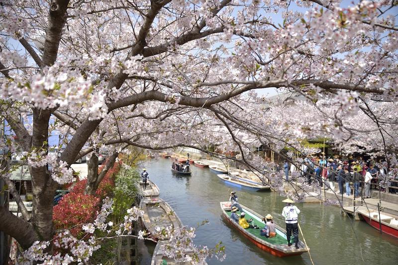 Top 12 điều nhất định phải làm ở Fukuoka, tín đồ xê dịch đừng bỏ qua 10