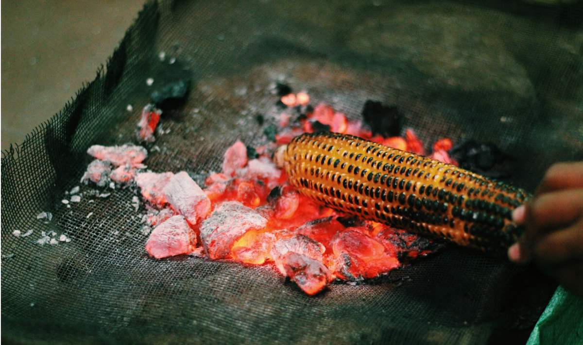 Delicious grilled corn