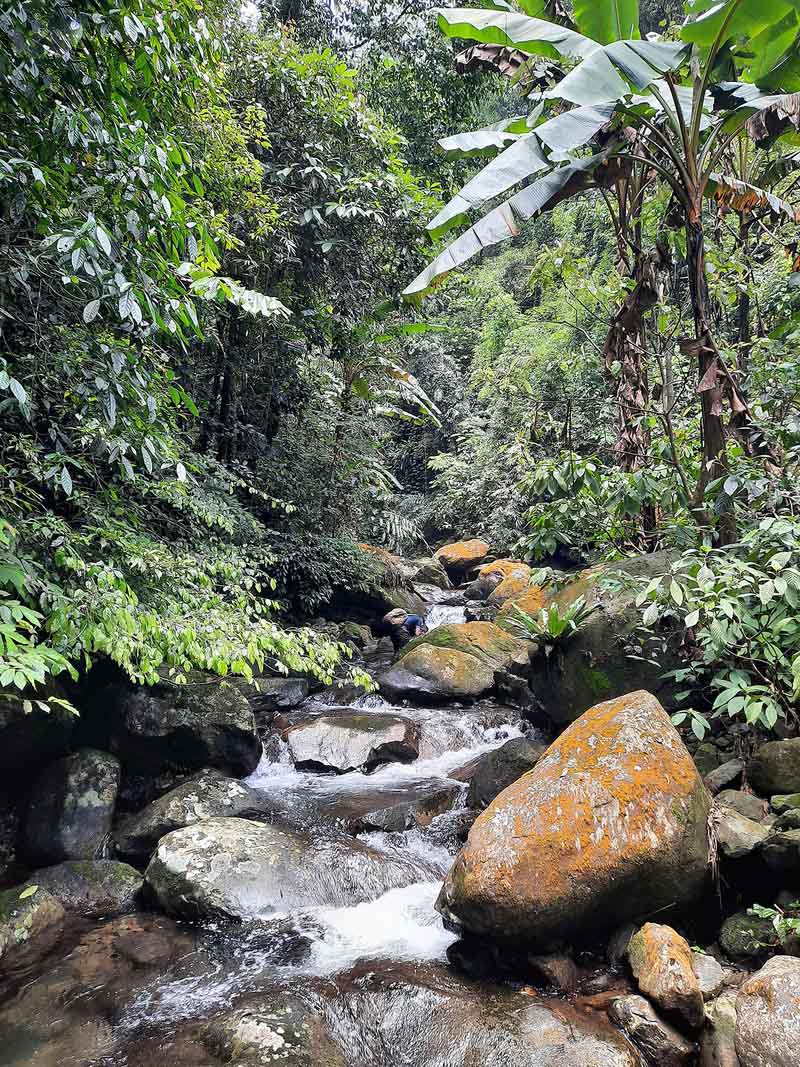 Chinh phục suối Cửa Tử và hành trình trekking thú vị 6