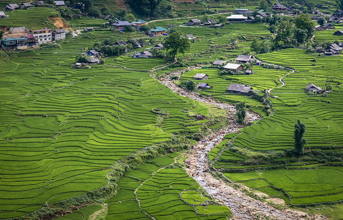 Suối Mường Hoa Sapa - Nàng thơ của núi rừng Tây Bắc