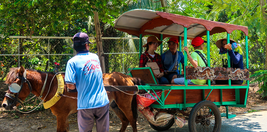 Tận hưởng 1 ngày du lịch sinh thái Bến Tre khám phá thiên nhiên trù phú 5