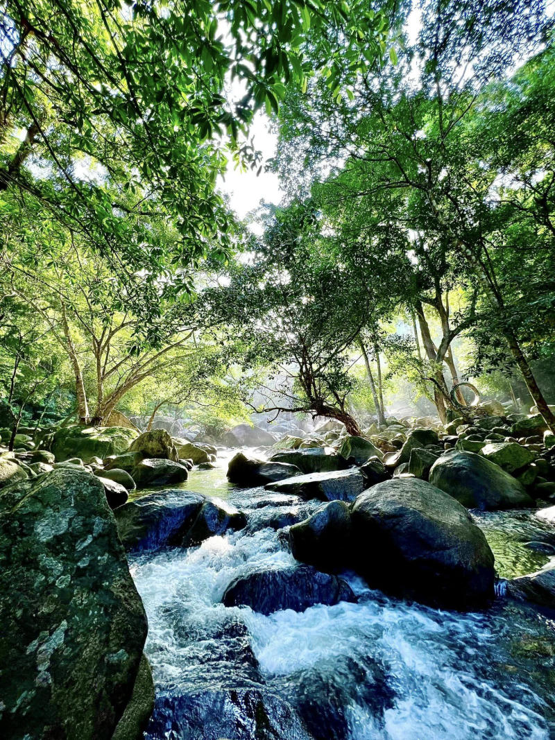 Thác Bà Tánh Linh, vẻ đẹp nguyên sơ của núi rừng Bình Thuận 4