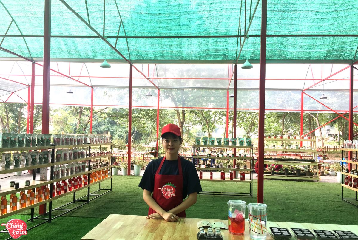 Thăm nông trại dâu tây Chimi Farm Hà Nội nổi tiếng nhất thủ đô 7