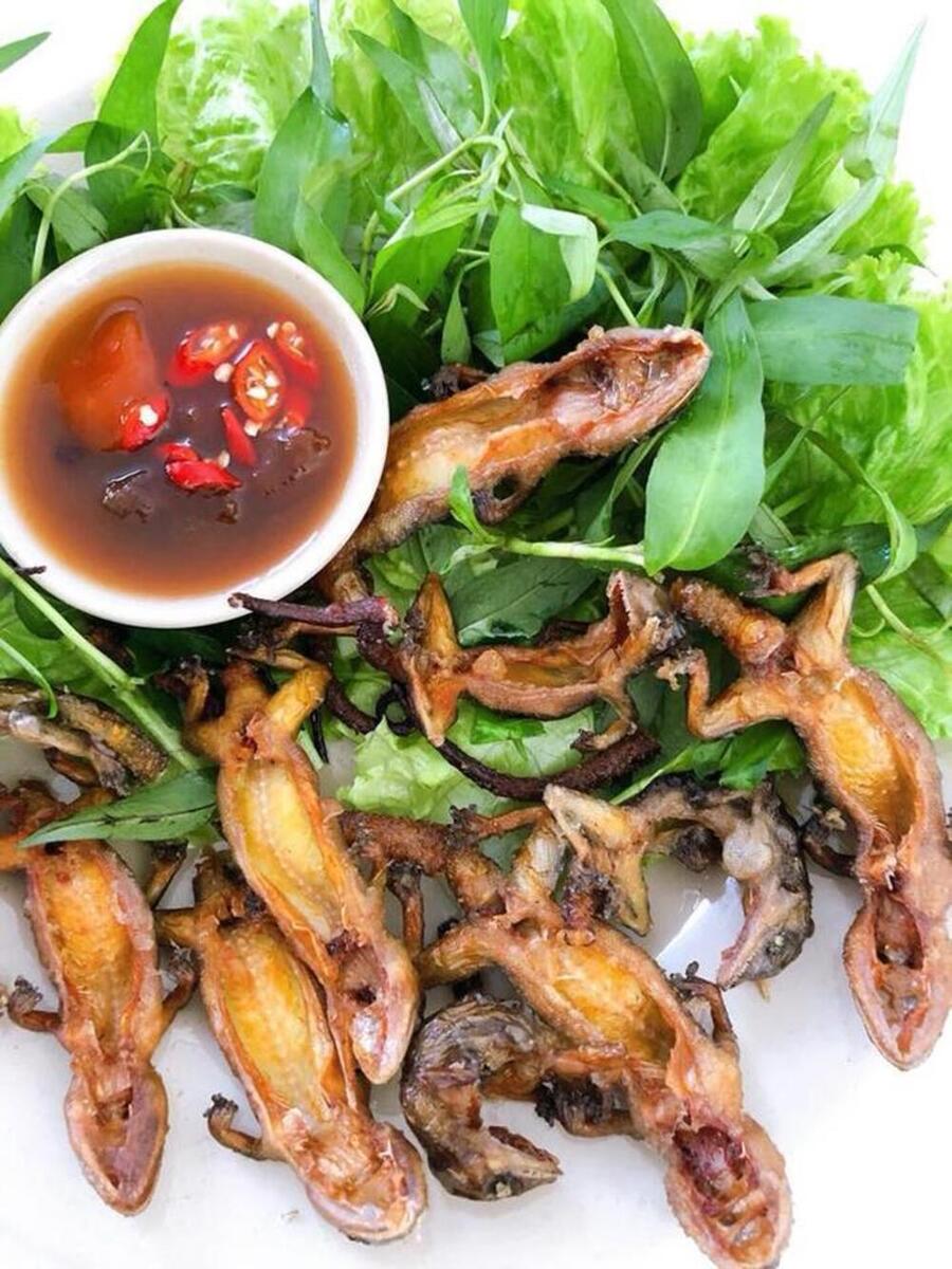 Thằn lằn núi bà Đen, món đặc sản quý hiếm của vùng Tây Ninh 2