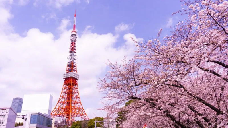 Tháp Tokyo, niềm tự hào của người dân Nhật Bản 3