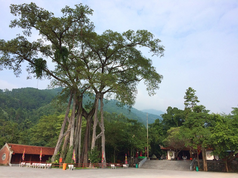 Thiền viện Trúc Lâm Tây Thiên, chốn bồng lai tiên cảnh bình yên ở Tam Đảo 8