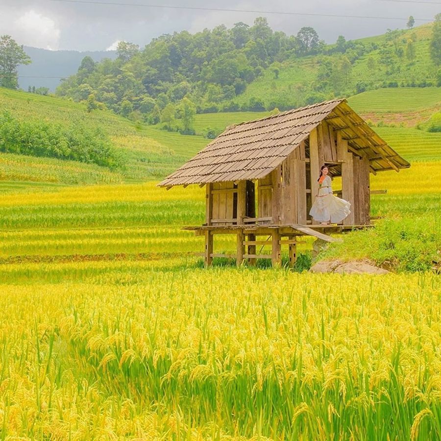 Thung lũng Nậm Cang Sapa, khoảng trời trong trẻo nơi rẻo cao Tây Bắc 6