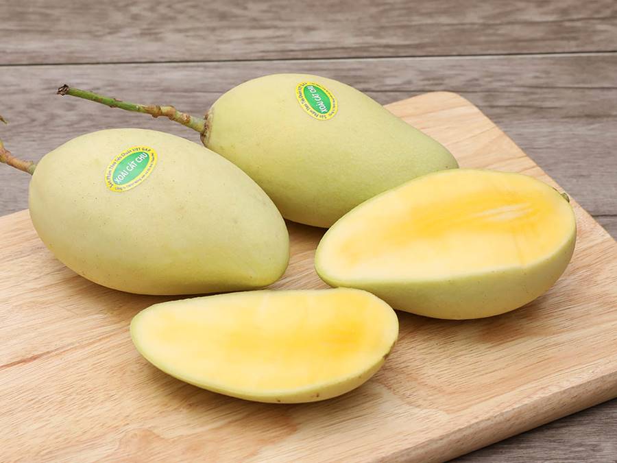 Thưởng thức xoài Cát Chu Sóc Trăng, đặc sản miền Tây Nam Bộ 5