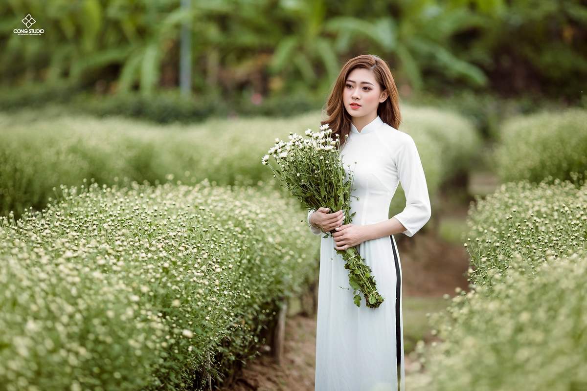 Top 5 địa điểm chụp hình cúc họa mi ở Hà Nội đẹp ngất ngây