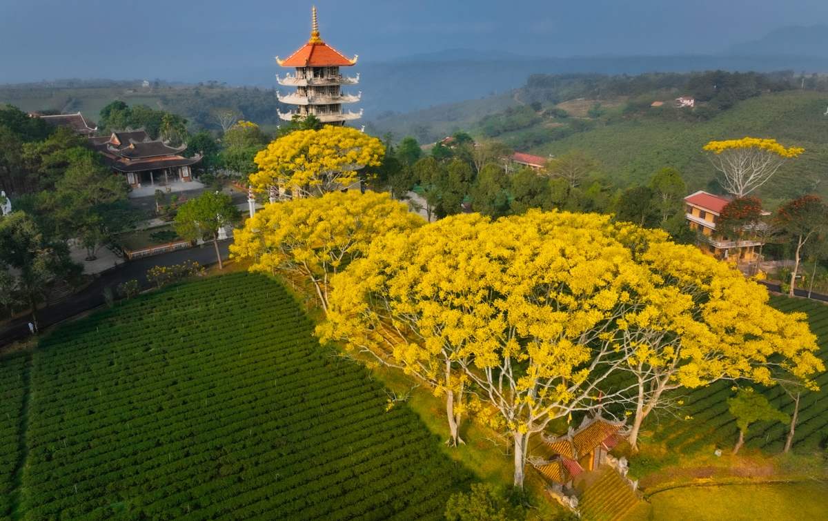 Top địa điểm du lịch bảo lộc cực đẹp mà bạn không thể bỏ lỡ